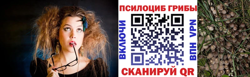 купить цена Маркс Псилоцибиновые грибы мицелий
