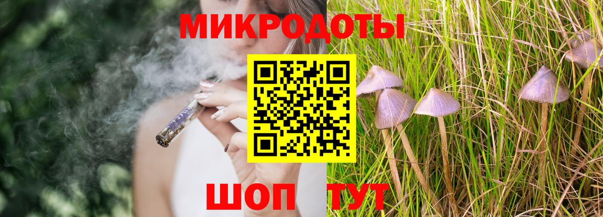 Галлюциногенные грибы Psilocybe Маркс
